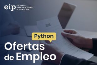 Programador Python En Madrid.jpeg